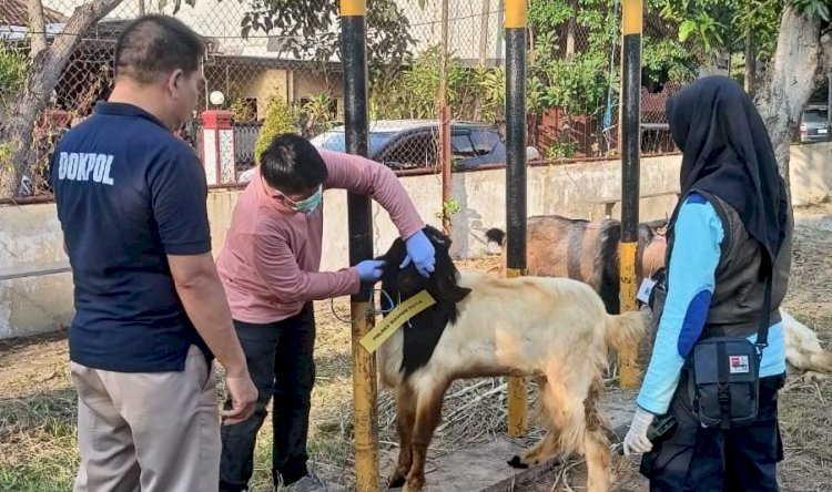 Polres Madiun Kota Datangkan Dokter Hewan Pastikan Kesehatan Hewan Kurban